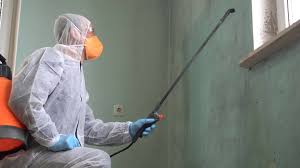 Why You Should Choose Our Mold Remediation Services in Madera Ranchos, CA